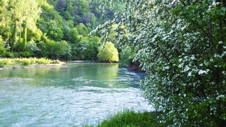 Aniene WaterLab: cittadini e studenti in campo per monitorare il fiume