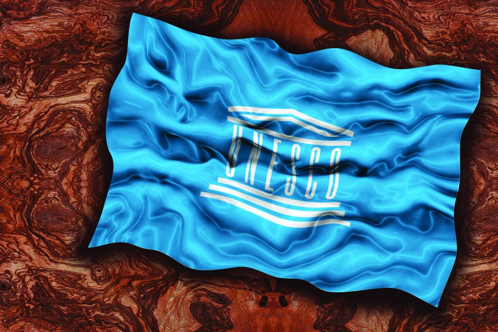 Selezioni per i tirocini 2026 promossi dall’Unesco